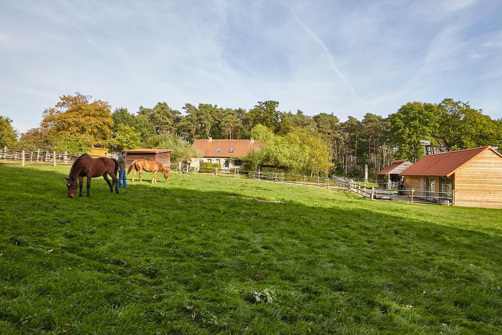 B&B Zinnen en Minnen Herselt Exterior foto