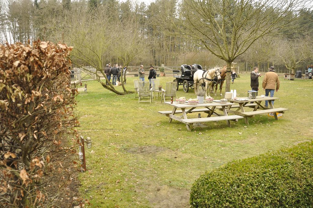 B&B Zinnen en Minnen Herselt Exterior foto
